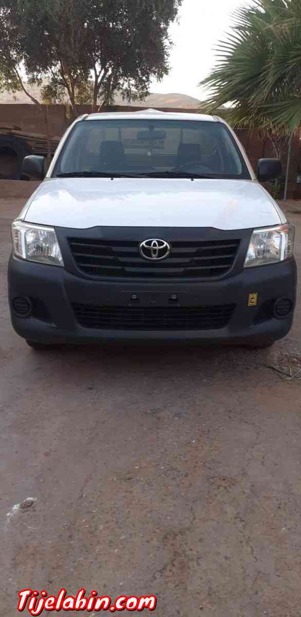 طيوطا هيليكس