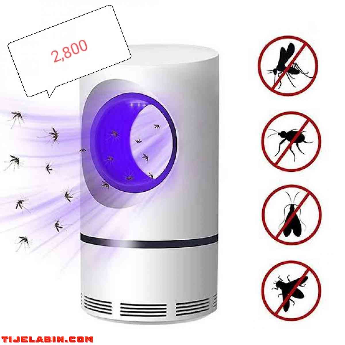 ابراي جديدة تقتل ناموس