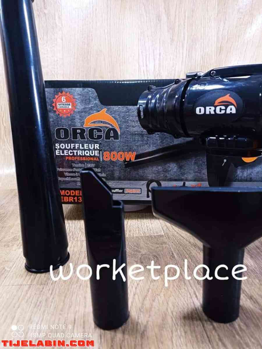 Aspirateur Souffleur Orca 800w