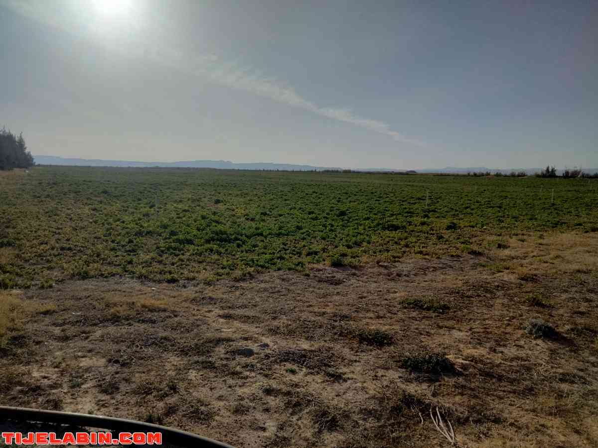 الأرض فلاحية