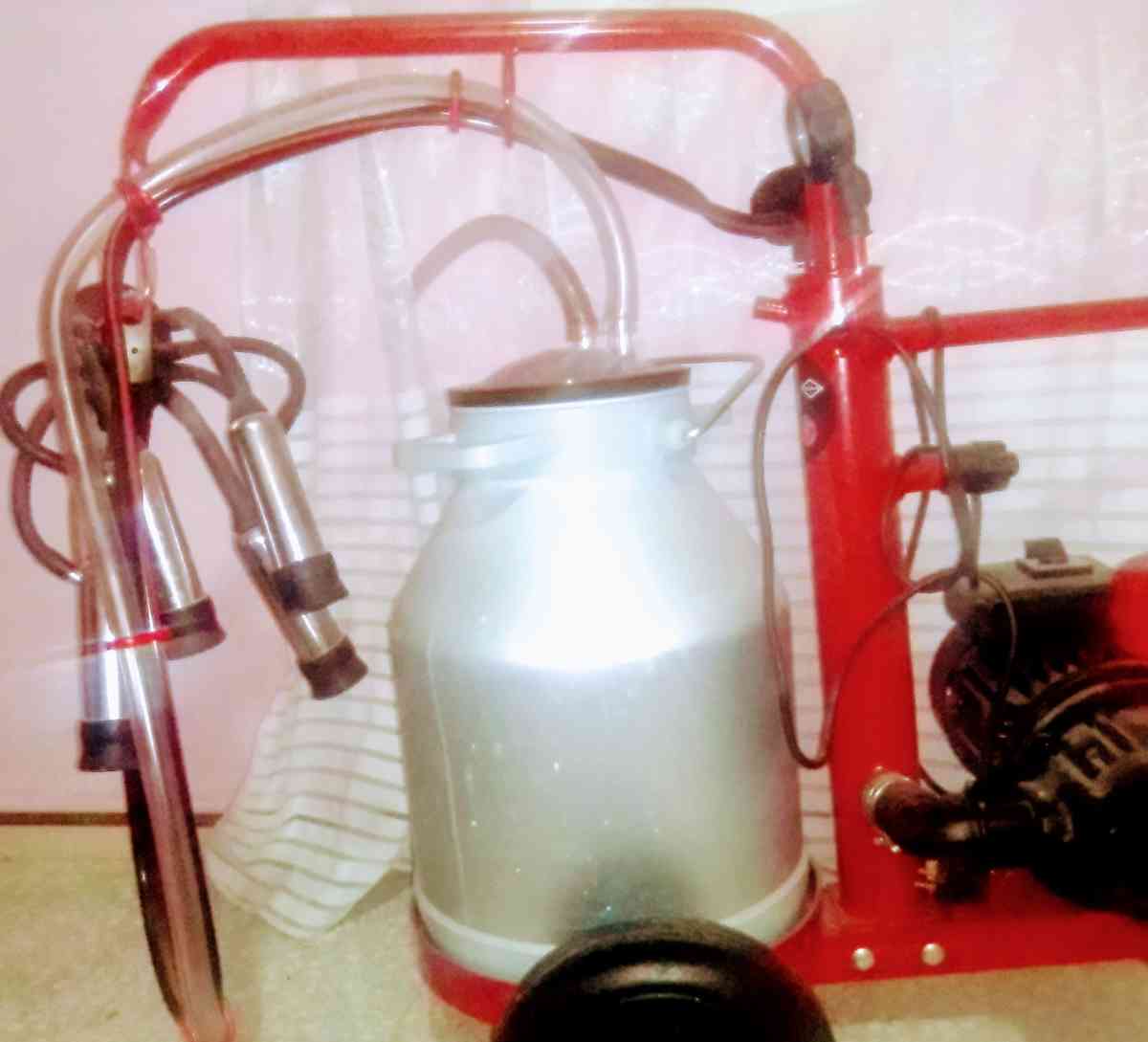 آلة لحلب البقر